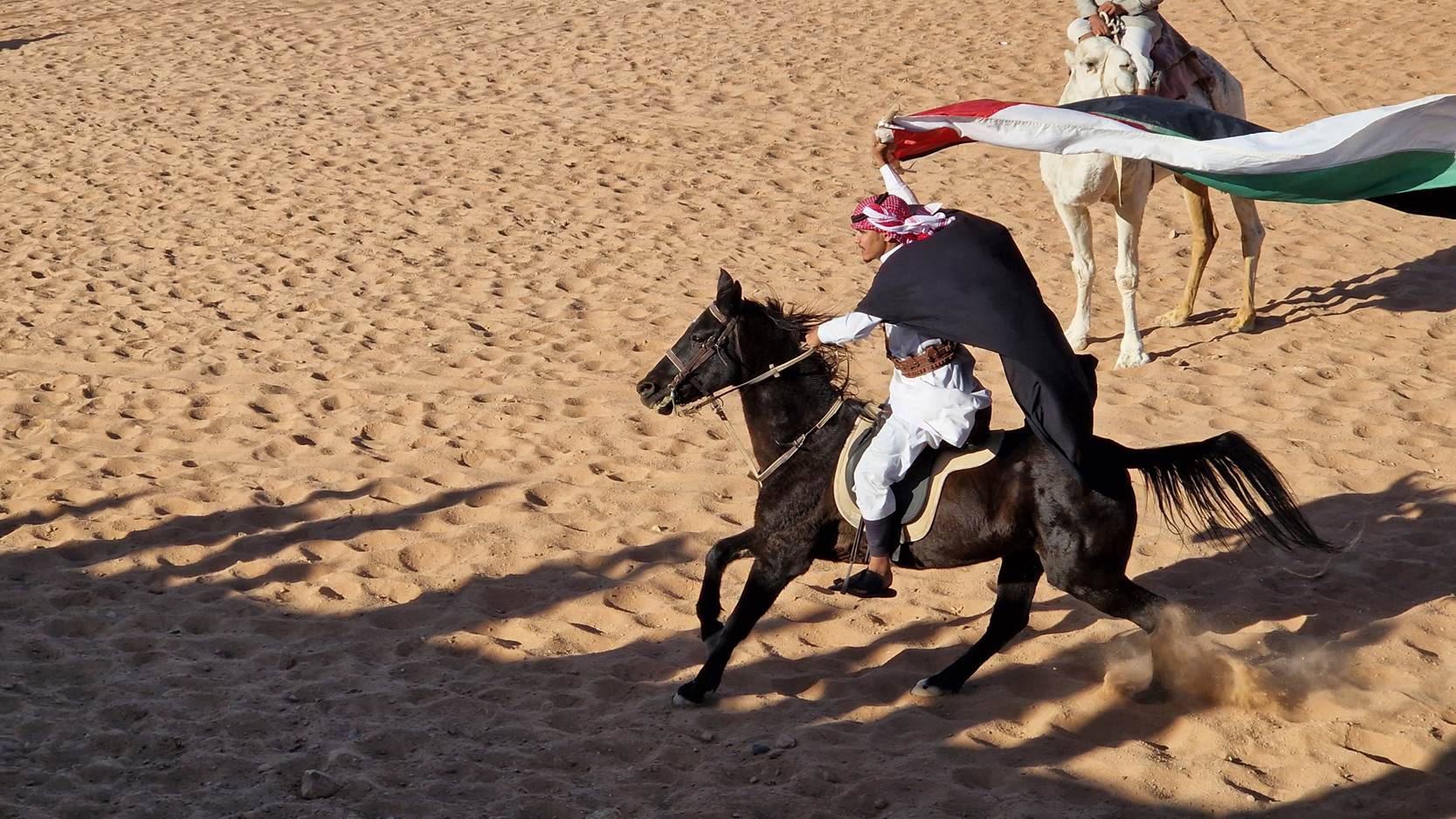 Wadi Rum, konjanik, voz